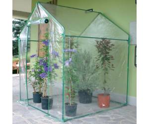 Serra Clematis a casetta 155 x 155 x 205 cm acciaio verniciato PVC verde trasparente - 3835 - 1