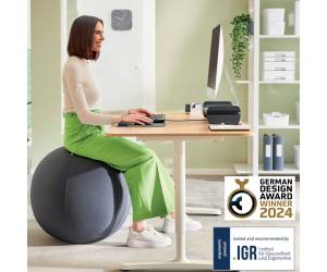 Palla Ergo Active da seduta 65 cm grigio scuro - 30487 - 5