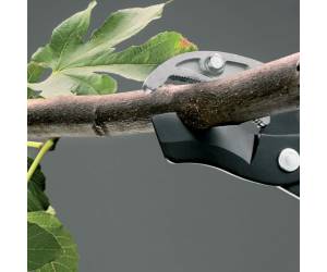 Troncarami ad ingranaggi a battente - 25101 - 2