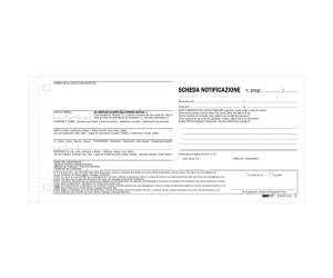 Scheda di notifica fogli snap 25 fogli 2 copie autoautoricalcanti 10 x 22 cm - 426 - 1