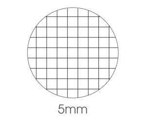 Blocco note Export - 5 mm - 150 x 210 mm - 50 gr - 50 fogli - conf. 10 pezzi - BM - 0100241 - 8008234002410 - DMwebShop - 1