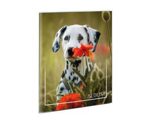 Album portafoto a busta saldato assortiti 17 x 21 cm contiene fino a 24 foto da 14,5 x 20 cm - 17205 - 2