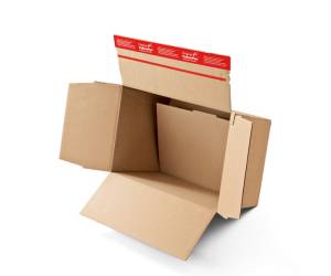 Scatola automontante CP141 H variabile da 19 a 31 cm conf. 10 pezzi - CP141.301 - 4033657961444 - DMwebShop - 1