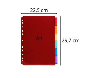 Intercalari neutri PP A4 trasparente 6 posizioni - 24797 - 2