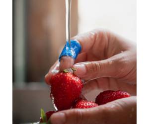 Bendaggio coesivo Detectaplast per HACCP 6 x 450 cm blu - 7204 - 1