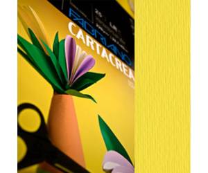 Cartoncino CartaCrea - 35 x 50 cm - 220 gr - cedro - blister 10 fogli - Fabriano - 46435125 - 8001348127772 - DMwebShop