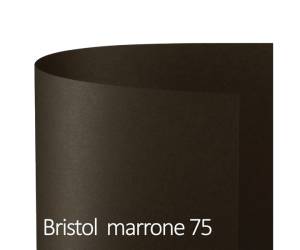 Cartoncino Bristol Color 50 x 70 cm 200 gr marrone 75 - 18659
