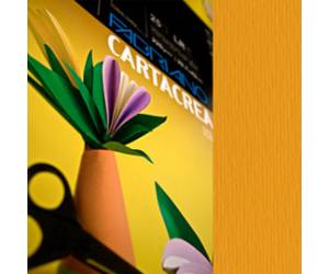 Cartoncino CartaCrea 35 x 50 cm 220 gr aragosta blister 10 fogli - 18647