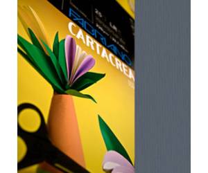 Cartoncino CartaCrea 35 x 50 cm 220 gr ferro blister 10 fogli - 18654
