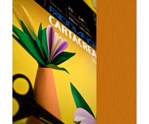 Cartoncino CartaCrea 35 x 50 cm 220 gr terra bruciata blister 10 fogli - 18656