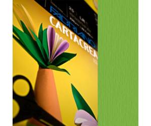 Cartoncino CartaCrea - 35 x 50 cm - 220 gr - verde 111 - blister 10 fogli - Fabriano - 46435111 - 8001348127642 - DMwebShop