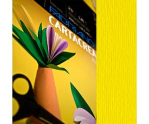 Cartoncino CartaCrea - 35 x 50 cm - 220 gr - giallo 107 - blister 10 fogli - Fabriano - 46435107 - 8001348127604 - DMwebShop
