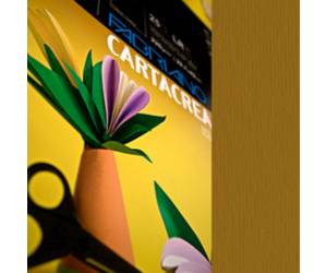Cartoncino CartaCrea 35 x 50 cm 220 gr marrone 106 blister 10 fogli - 7134