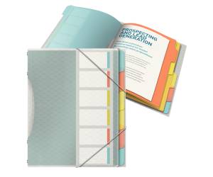 Classificatore colour'lce - 6 divisori - dorso 2 cm - 26,6 x 32 cm - multicolore - Esselte - 626255 - 4049793053097 - DMwebShop