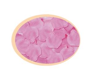 Petali sintetici - rosa - busta 144 pezzi - Big Party - 15063. - 8020834150636 - DMwebShop