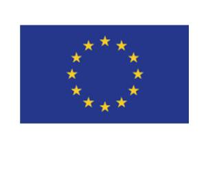 Bandiera Europa 100 x 150 cm poliestere nautico - 22622