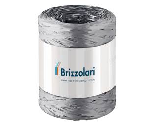 Nastro Rafia sintetica - argento 44 - 5 mm x 200 mt - Brizzolari - 01003744 - 8031653208552 - DMwebShop