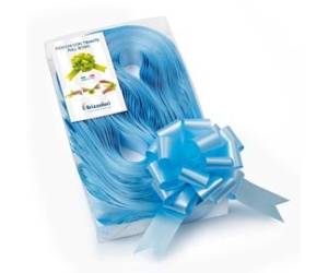 Nastri strip 6800 in polipropilene azzurro 06 per fiocco autocomponibile - 23618