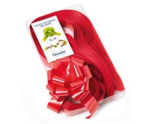 Nastri strip 6800 in polipropilene rosso 07 per fiocco autocomponibile 31 mm - 23604