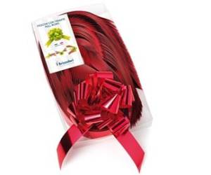 Nastro strip metal 6870 rosso 07,31 mm diametro 13 cm Brizzolari 00314007 - 23617