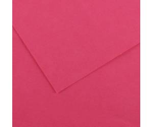 Foglio Colorline - 70 x 100 cm - 220 gr - fucsia - conf. 25 pezzi - Canson - 200041197 - 85573A - DMwebShop