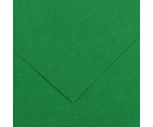 Foglio Colorline - 70 x 100 cm - 220 gr - verde vivo - conf. 25 pezzi - Canson - 200041216 - 85587A - DMwebShop