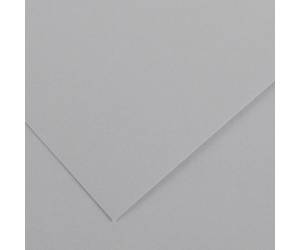 Foglio Colorline - 70 x 100 cm - 220 gr - grigio chiaro - conf. 25 pezzi - Canson - 200041221 - 85592A - DMwebShop