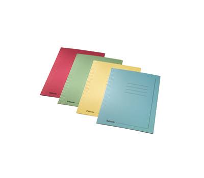 Cartelline 3 lembi con stampa - 295 gr - 25 x 35 cm - azzurro - conf. 25 pezzi - Esselte - 55135 - 5411313551359 - DMwebShop