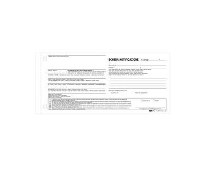Scheda di notifica fogli snap - 25 fogli - 2 copie autoricalcanti - 10 x 22 cm - conf. 250 pezzi - Edipro - E5876N - CONFE5876NPZ250W - DMwebShop