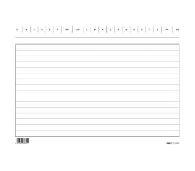 Schede in cartoncino rigate - 17 x 24 cm - orizzontale - conf. 100 pezzi - Edipro - E3363BL - 8023328336318 - DMwebShop