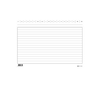 Schede in cartoncino rigate - 17 x 24 cm - orizzontale - conf. 100 pezzi - Edipro - E3363BL - 8023328336318 - DMwebShop