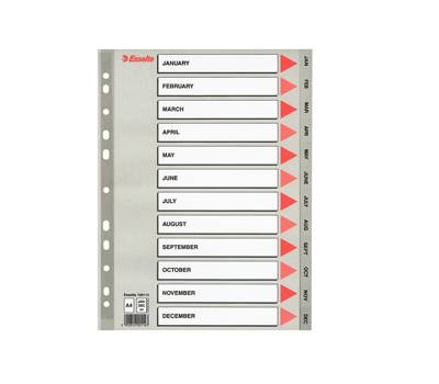 Separatore mensile Gen-Dic - PPL - A4 - grigio - Esselte - 100114 - 5902812001143 - DMwebShop