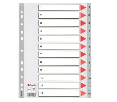 Separatore numerico 1/12 - PPL - A4 - 22,5 x 29,7 cm - grigio - conf. 10 pezzi - Esselte - 100106 - 5902812001068 - DMwebShop