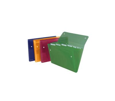 Cartella a soffietto Ice - 6 tasche - 22 x 30 cm - colori assortiti - Rexel - 2102032 - 5028253255843 - DMwebShop