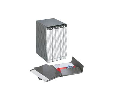 Gruppo Delso Line - 12 cartelle 2 lembi - con custodia - 32 x 25 cm - dorso 1,5 cm - Esselte - 390955040 - 8004157955048 - DMwebShop