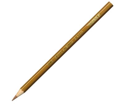 Pastello Supermina - mina 3,8 mm - terra di siena naturale 31 - conf. 12 pezzi - Giotto - 23903100 - 8000825239311 - DMwebShop