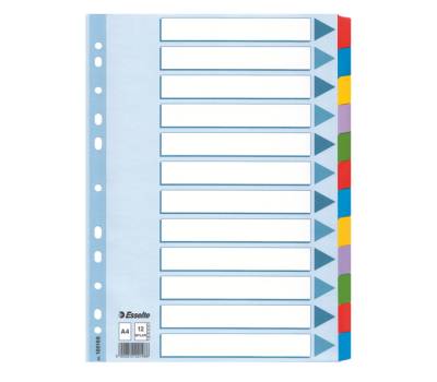 Intercalare Mylar - 12 tasti colorati - A4 - Esselte - 100169 - 5902812221466 - DMwebShop