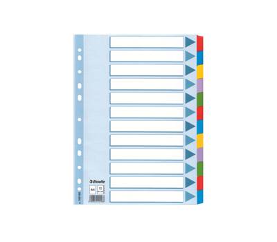 Intercalare Mylar - 12 tasti colorati - A4 - Esselte - 100169 - 5902812221466 - DMwebShop