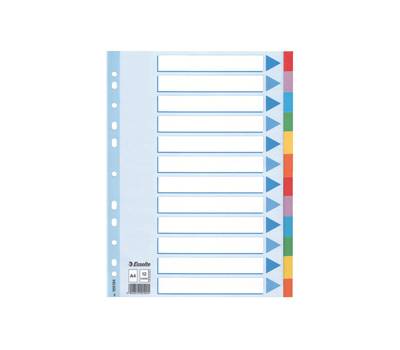 Intercalare cartoncino - 12 tasti colorati - A4 - Esselte - 100194 - 5902812001945 - DMwebShop