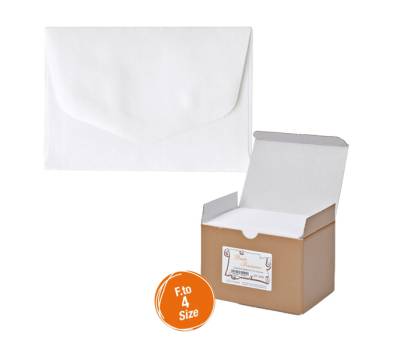 Scatola 100 buste bianche - Bristol - 75 x 112 mm - Rex Sadoch - 8204 - 8004999820405 - DMwebShop