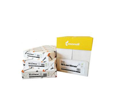 Carta fotocopie A4,80 gr bianco risma 500 fogli - 8925
