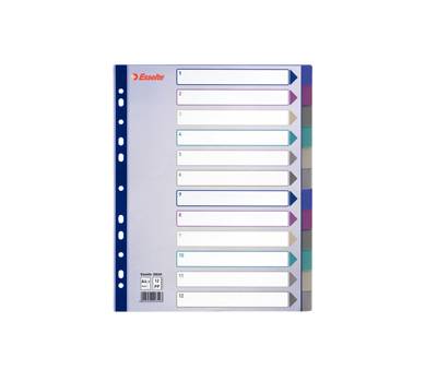 Separatore - 12 tasti - PP traslucido - A4 maxi - 24,5 x 29,7 cm - multicolore - Esselte - 20649 - 5024942206493 - DMwebShop