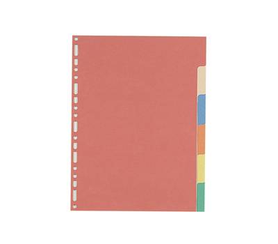 Separatore - 6 tacche - cartoncino colorato 240 gr - 21 x 29,7 cm - multicolore - Favorit - 100204883 - 8006779199305 - DMwebShop