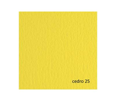 Cartoncino Elle Erre - 70 x 100 cm - 220 gr - cedro 125 - blister 10 fogli - Fabriano - 46470125 - 8001348121923 - DMwebShop