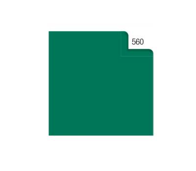 Carta velina - 50 x 70 cm - 20 gr - verde 560 - busta 26 fogli - Rex Sadoch - KV106560 - 4005063106122 - DMwebShop