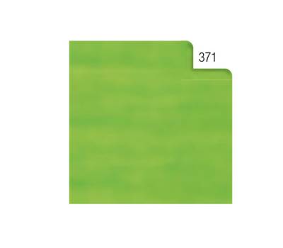Carta velina - 50 x 70 cm - 20 gr - verde chiaro 371 - busta 26 fogli - Rex Sadoch - KV106371 - 4005063106139 - DMwebShop
