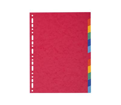 Separatore Forever - 12 tacche - cartoncino riciclato 220 gr - A4 - multicolore - Exacompta - 2012E - 3130630020127 - DMwebShop