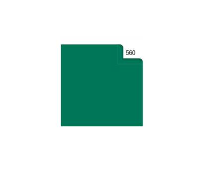 Carta velina 50 x 70 cm 20 gr verde 560 busta 26 fogli - 9713 Carta velina 50 x 70 cm 20 gr verde 560 busta 26 fogli - 9713