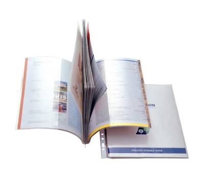 Cartelline con tasche Ercole Cat foratura universale PVC 21 x 29,7 cm - 9378