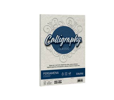Carta Calligraphy Pergamena A4,90 gr perla 10 conf 50 fogli Favini A694204 - 10239